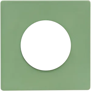 webp/1.01.007.01.1.0000-1.webp